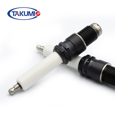 kupować R6G1-77 7664604 7664685 7664.291 76.64.292 Wtyczka zapłonu do generatora biogazu 7664291 7664356 7664416c dla silnika Guascor produkcja online